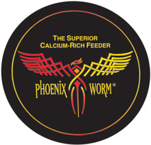 In regards to Phoenix worms, can I put them in a wine celler at 55 degrees?