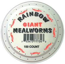 100 Giant Mealworms in a cup Questions & Answers