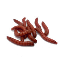 500 Red Giant Mealworms Questions & Answers