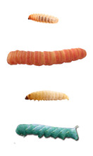 can they be delivered to my door live? and whats the best way to house the different worms?